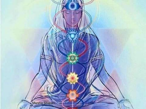 5. LEYES PARA ELEVAR TU FRECUENCIA