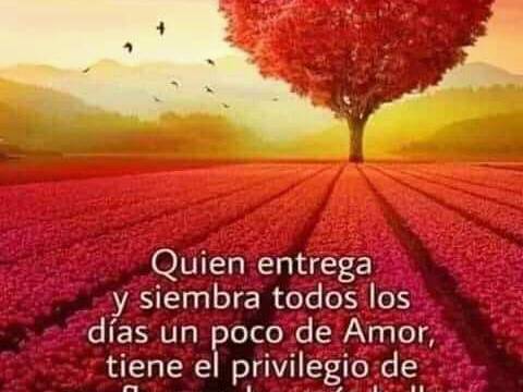 Jueves PARA BRILLAR Y SONREIR AL SOL