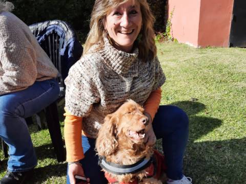Los Cachorros