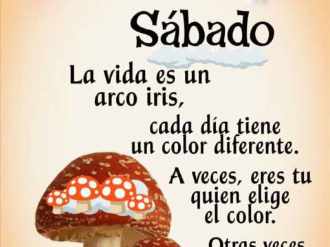 Feliz Sabado !!!!
