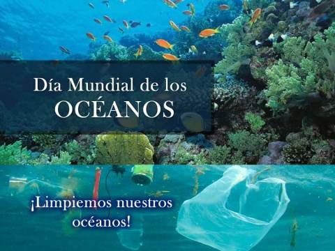 8 de JUNIO DIA MUNDIAL DE LOS OCEANOS