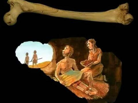 ¿Pregunto a la Antropologa?