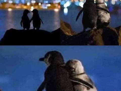 CURIOSIDADES¿ Lo Sabias?