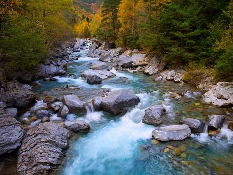EL RIO