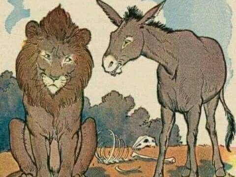 "No discutas con Burros" - Fabula