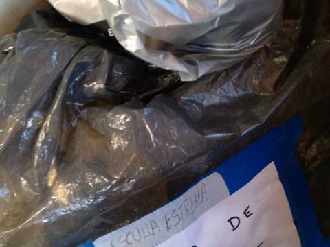 Donaciones en la escuela 103