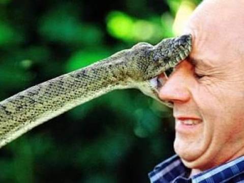 El hombre y la serpiente - (Fabula)
