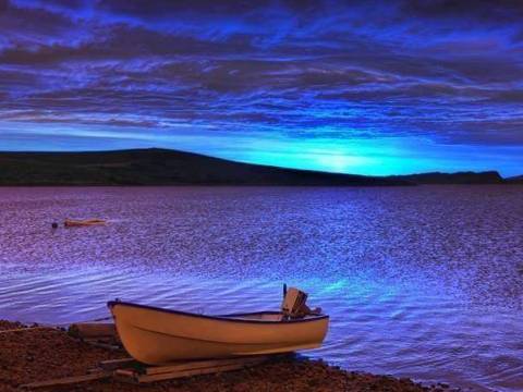 Mar de amor