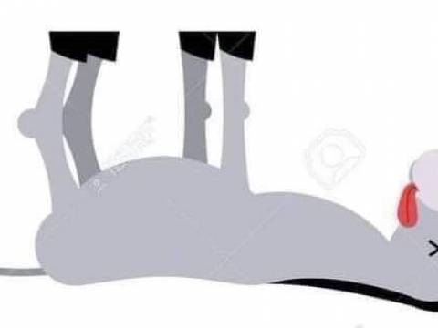 EL BURRO MUERTO:…