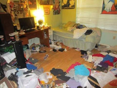LAS TOXINAS DE LA CASA SON: