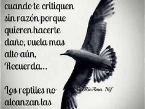 Cuando escuches.............