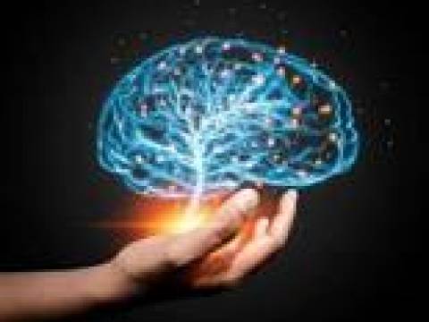 La neurociencia..........