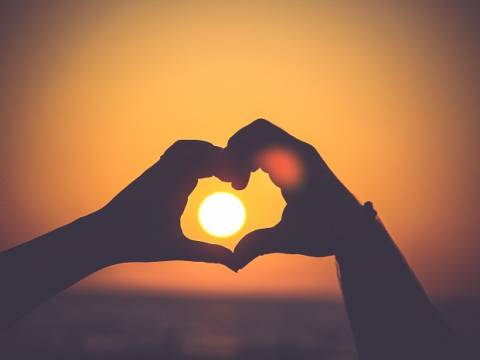 ¿Por qué el corazón se identifica como el órgano del amor?