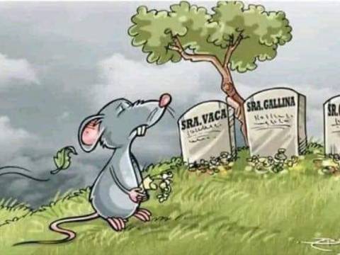 REFLEXIÓN PARA MUCHOS !!!