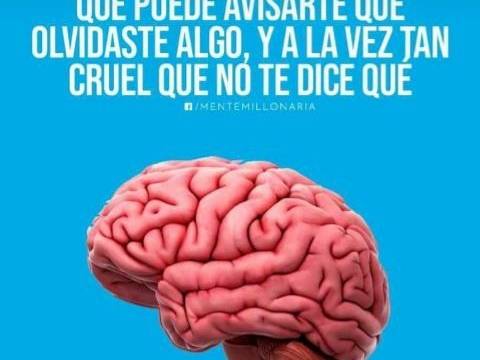 Qué se puede subestimar del cuerpo?