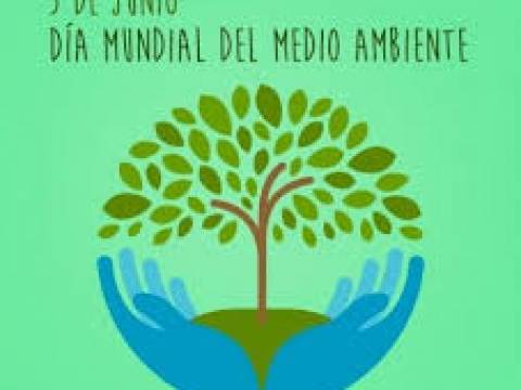 Dia mundial del Medio Ambiente..