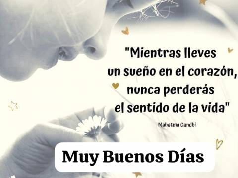 YO SOY