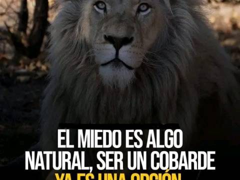 Sórdido