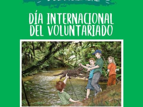 DIA INTERNACIONAL DEL VOLUNTARIADO