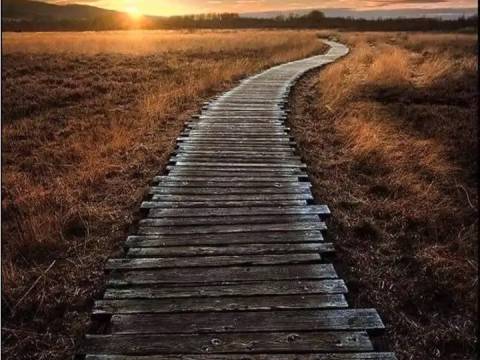 Seguir Caminando