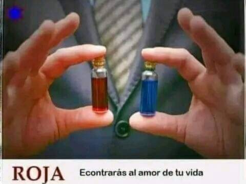 vos, cual tomarias?