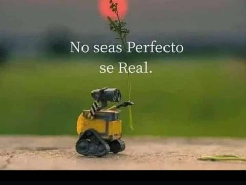 Sin decir Adios🍫❤️