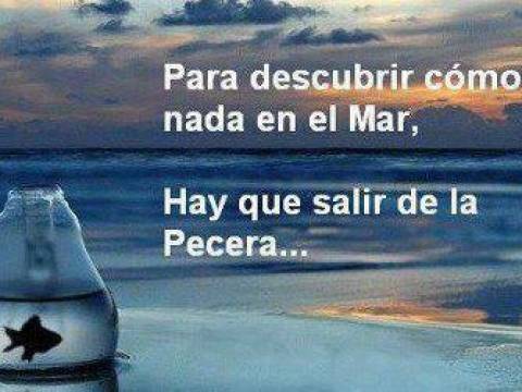 SALIR DE LA PECERA Y ADENTRARNOS EN EL MAR