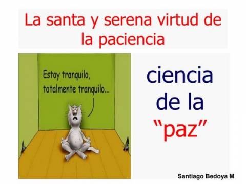 ¿Visitas?"