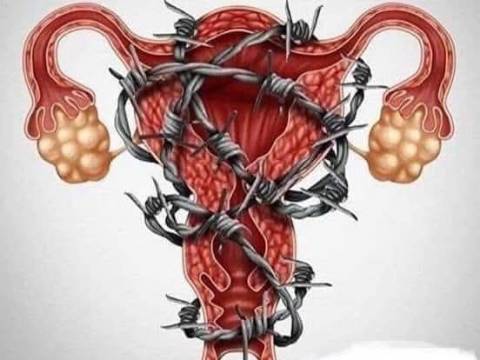  El CUERPO NOS HABLA