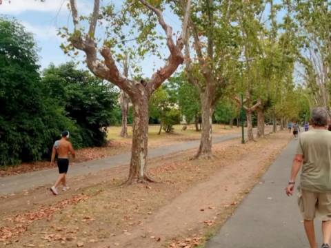 Beneficios de las caminatas