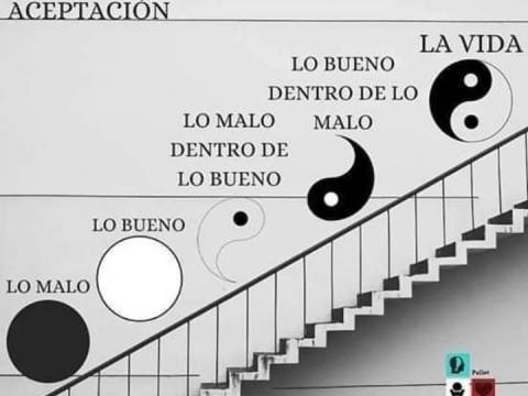 Réflexion : L’os buenos y malo de la vida 👇