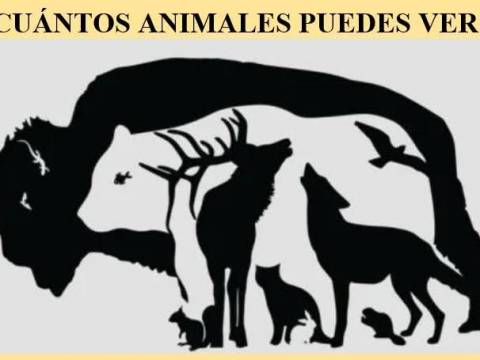 ¿Jugamos?