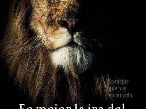 No le nteresa Enfrentar ¡Reflexion