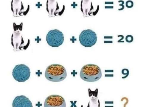 ¿Jugamos?