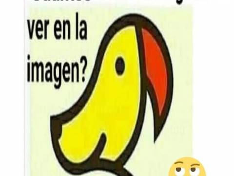 ¿Jugamos?