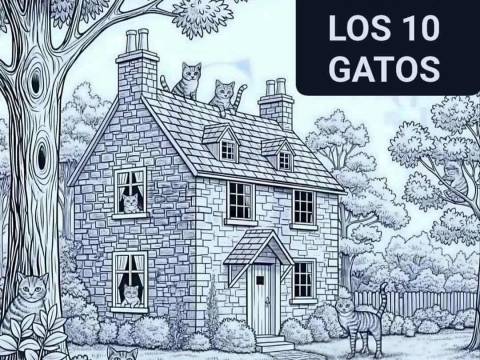 ¿Jugamos?