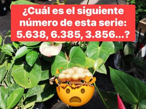 ¿Jugamos?
