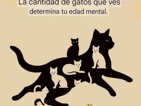 ¿Jugamos?