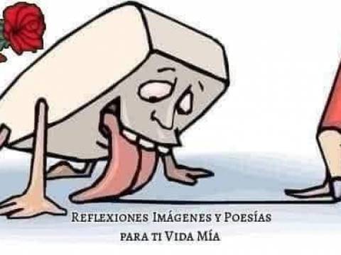 Cómo Estás, Amigo? ( Reflexion)