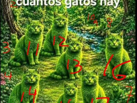 Nota