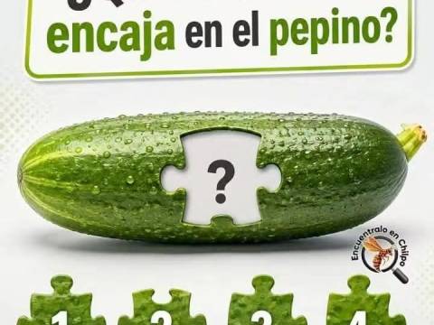 Nota