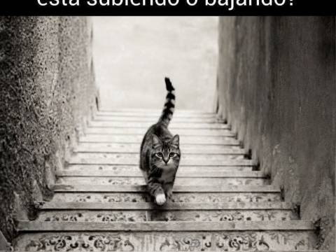 ¿Jugamos?