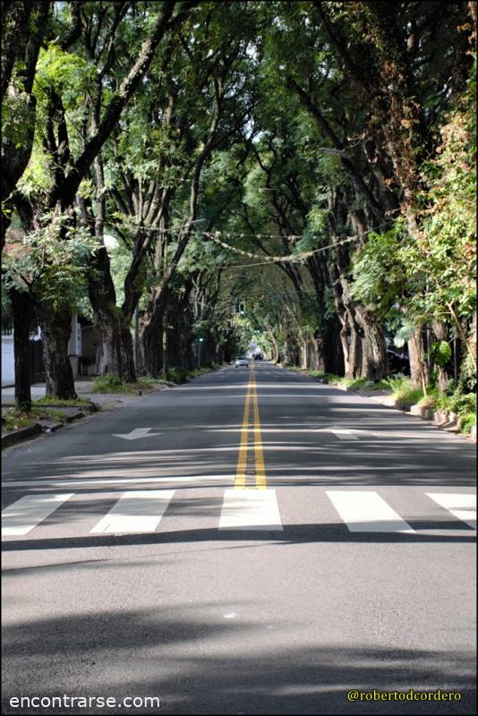 23340 11 Caminata amigable al Puerto de Olivos