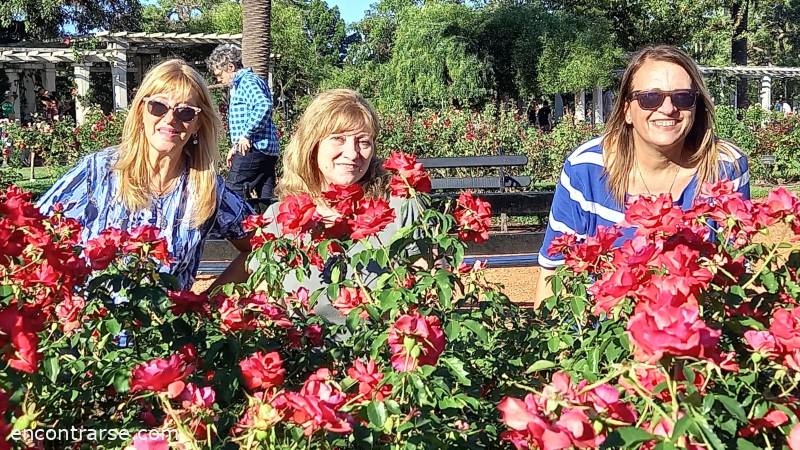 25397 2 Paseo por los bosques de Palermo