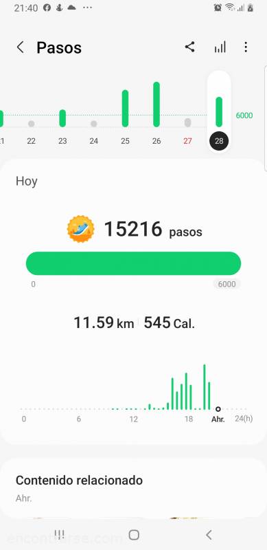 25397 20 Paseo por los bosques de Palermo