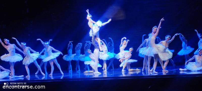 27840 5 EL LAGO DE LOS CISNES - Montevideo 