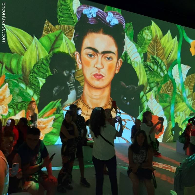 27454 2 FRIDA KAHLO EXPERIENCIA INMERSIVA