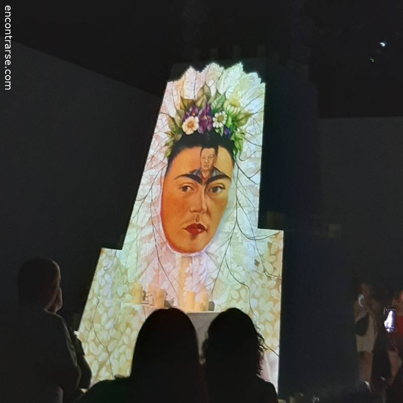 27454 5 FRIDA KAHLO EXPERIENCIA INMERSIVA