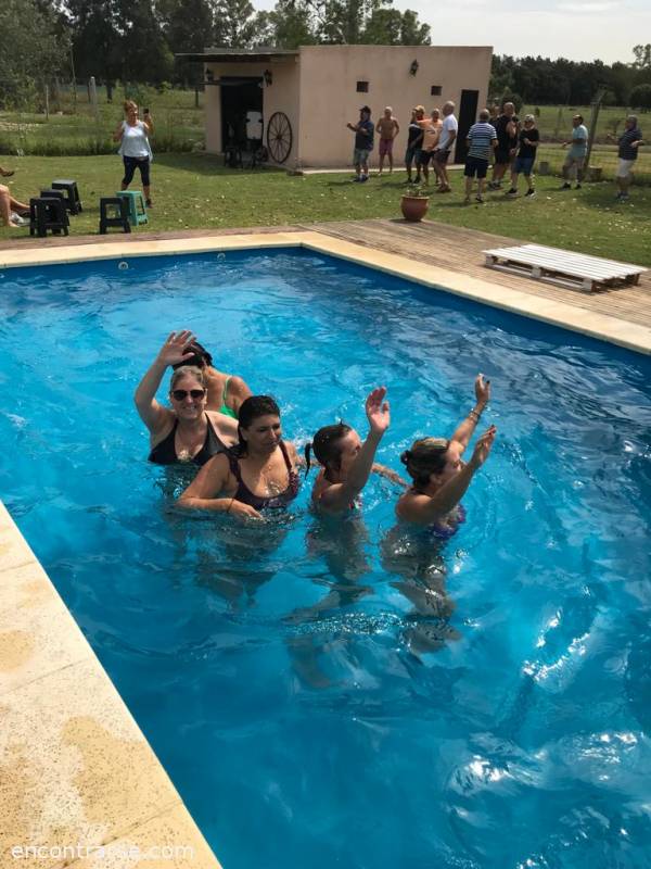 28194 1 Domingo 