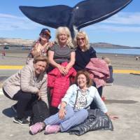 Encuentro 26287 : ME ACOMPAÑAS EN OCTUBRE AL SUR  PENINSULA DE VALDES Y DISFRUTAR DEL AVISTAJE DE BALLENAS?????